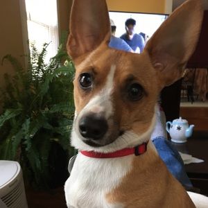 Meet your Posher, Page